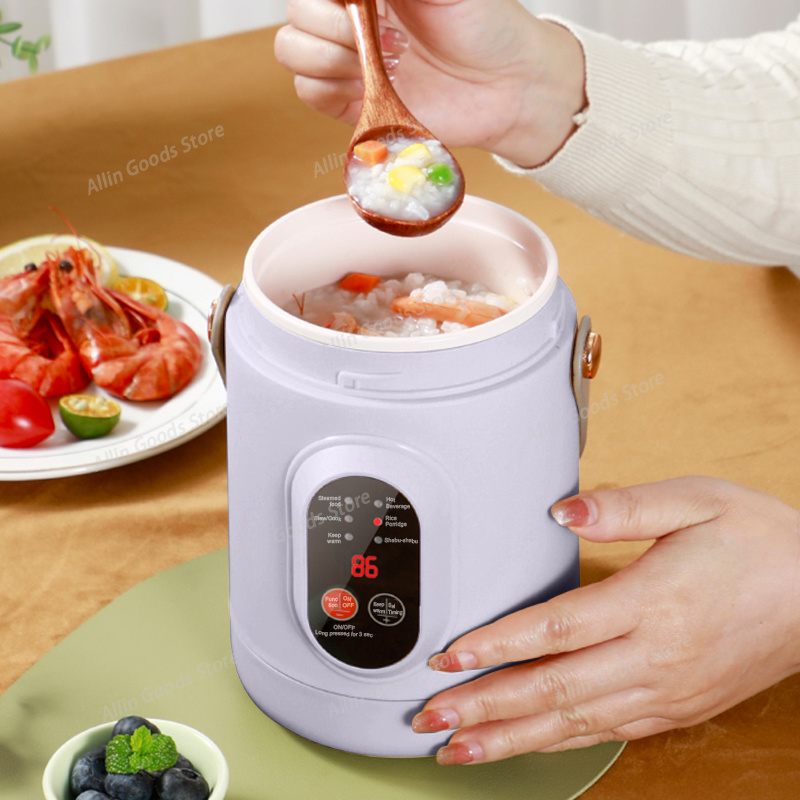 Hot Pot Portable Dual - Portable Multifunctional Mini Electric Cooker Travel