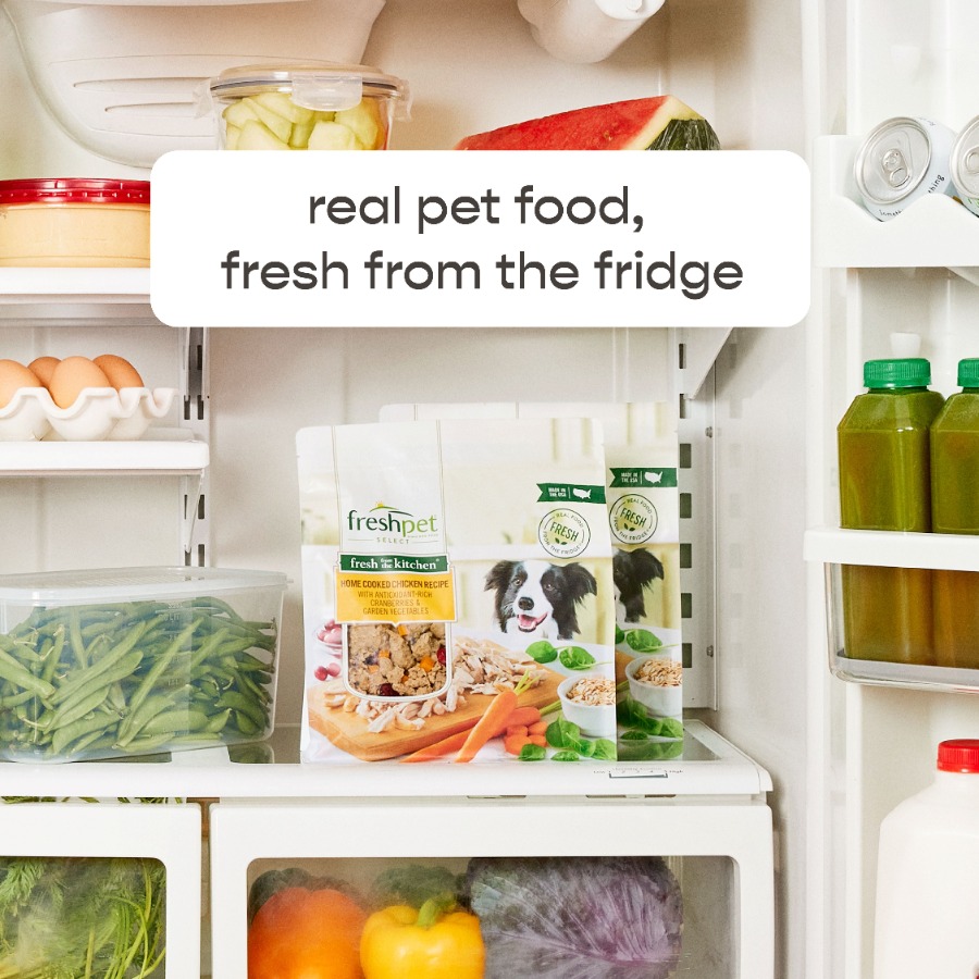4 pack Fresh Dog Food, Fresh F - Home Cooking Recipe review and price
