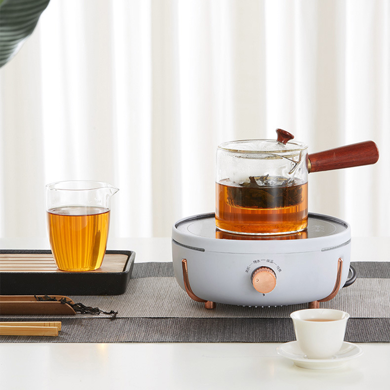 800W Mini Electric Stove Oven  - Home Cooking Electric review and price