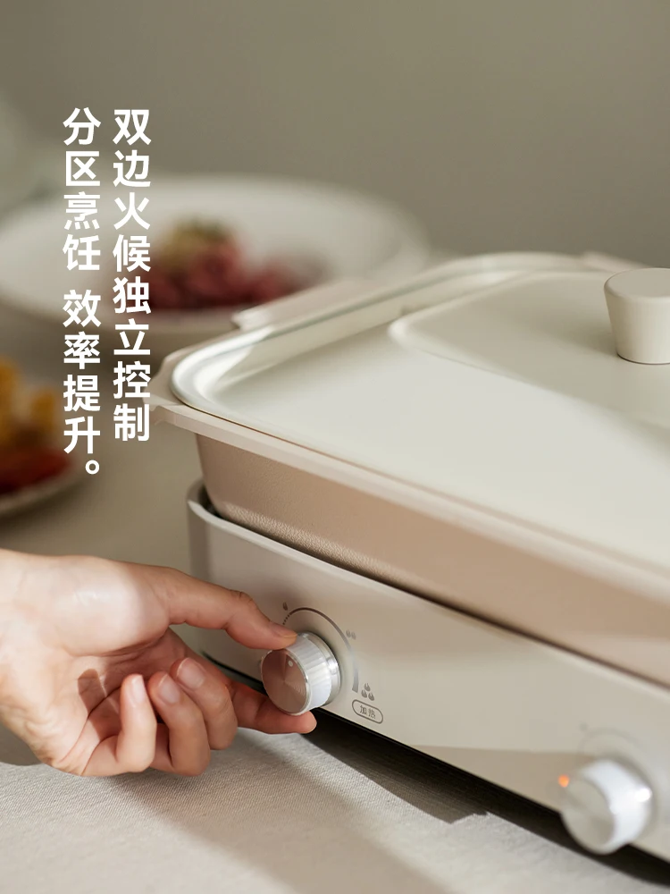 220V Olayks Multi Function Ele - Home Cooking Electric review and price