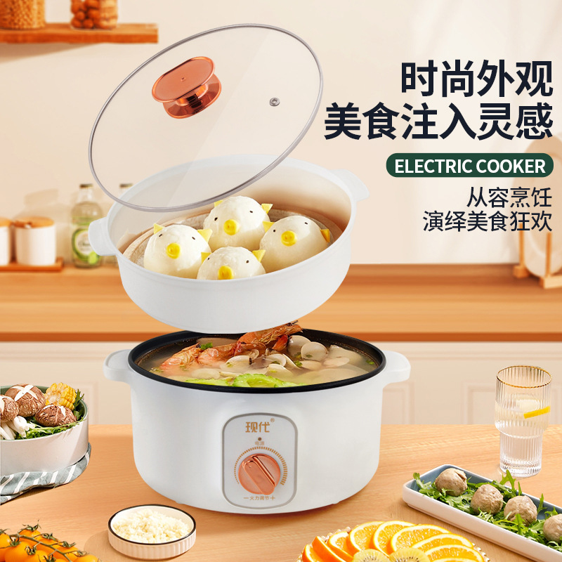 Multifunctional Mini Electric  - Home Cooking Electric review and price