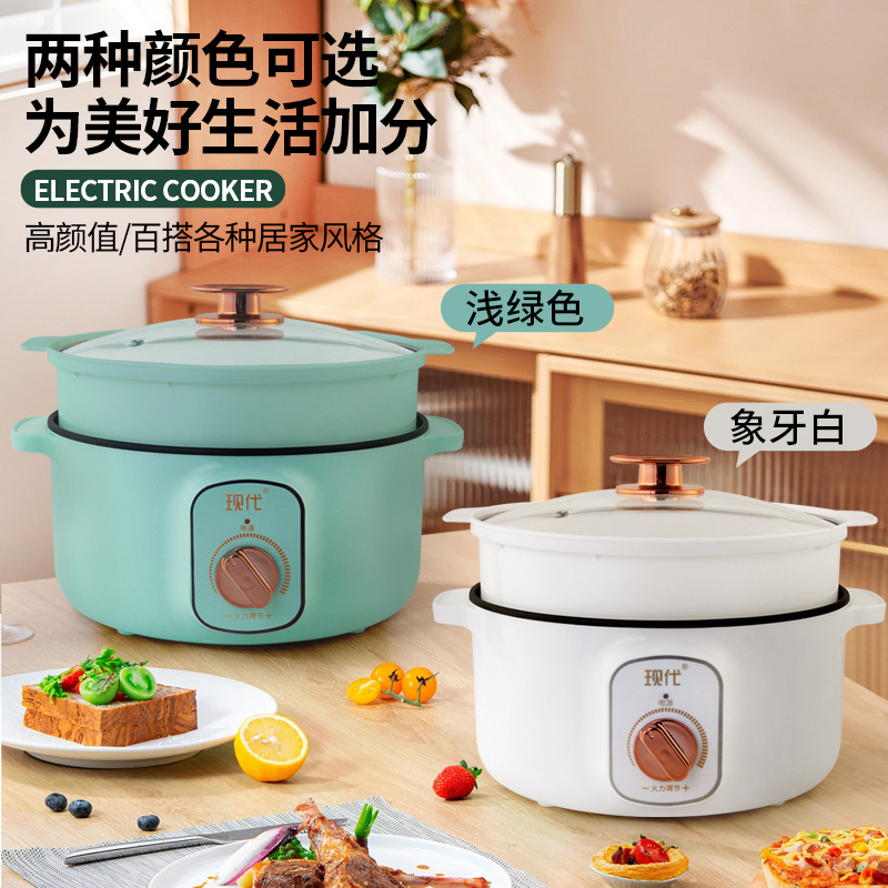 Multifunctional Mini Electric  - Home Cooking Electric review and price
