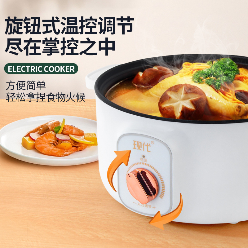 Multifunctional Mini Electric  - Home Cooking Electric review and price