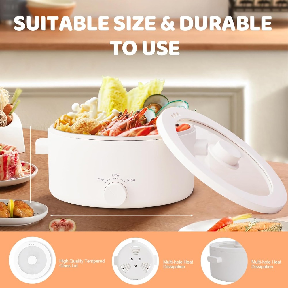 Electric Hot Pot, 3L Portable  - Hot Pot Portable Dual review and price