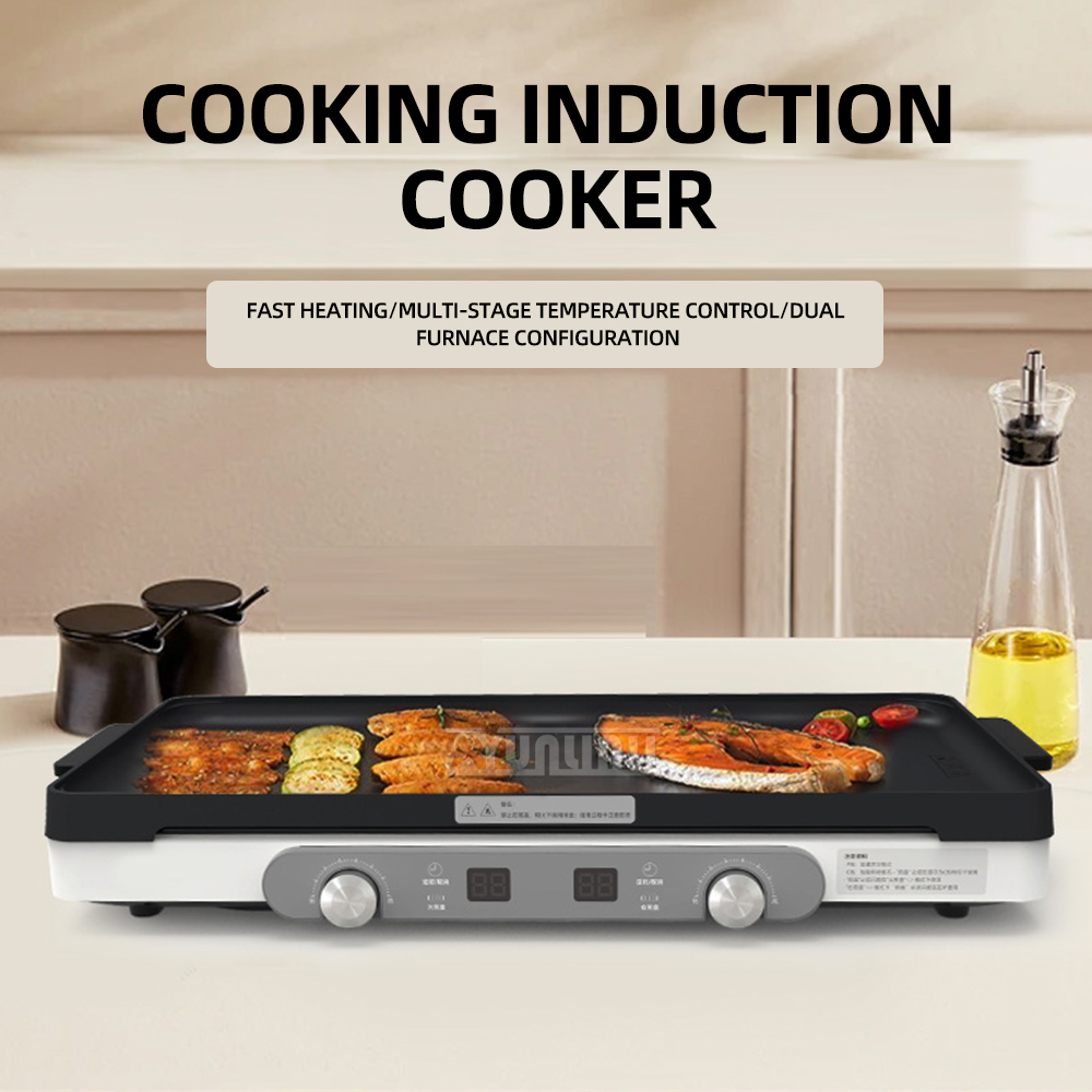 Double Kitchen Cooktop Househo - Hot Pot Portable Dual review and price