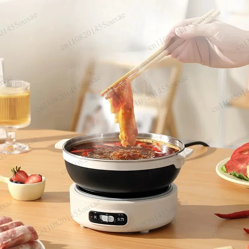 220V Portable Split Multi Cook - Hot Pot Portable Dual review and price