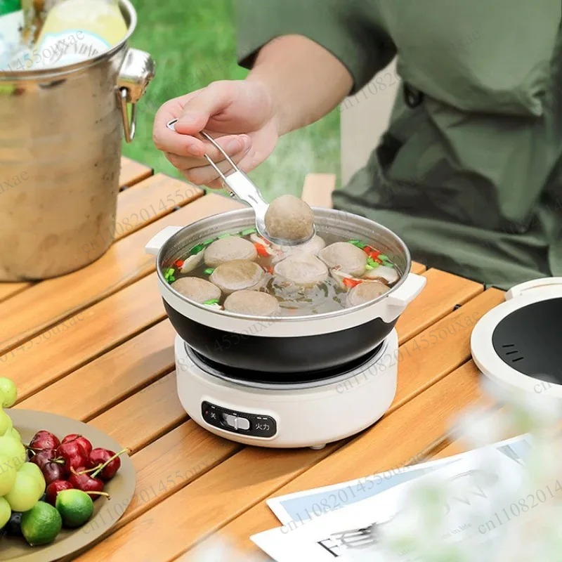 220V Portable Split Multi Cook - Hot Pot Portable Dual review and price