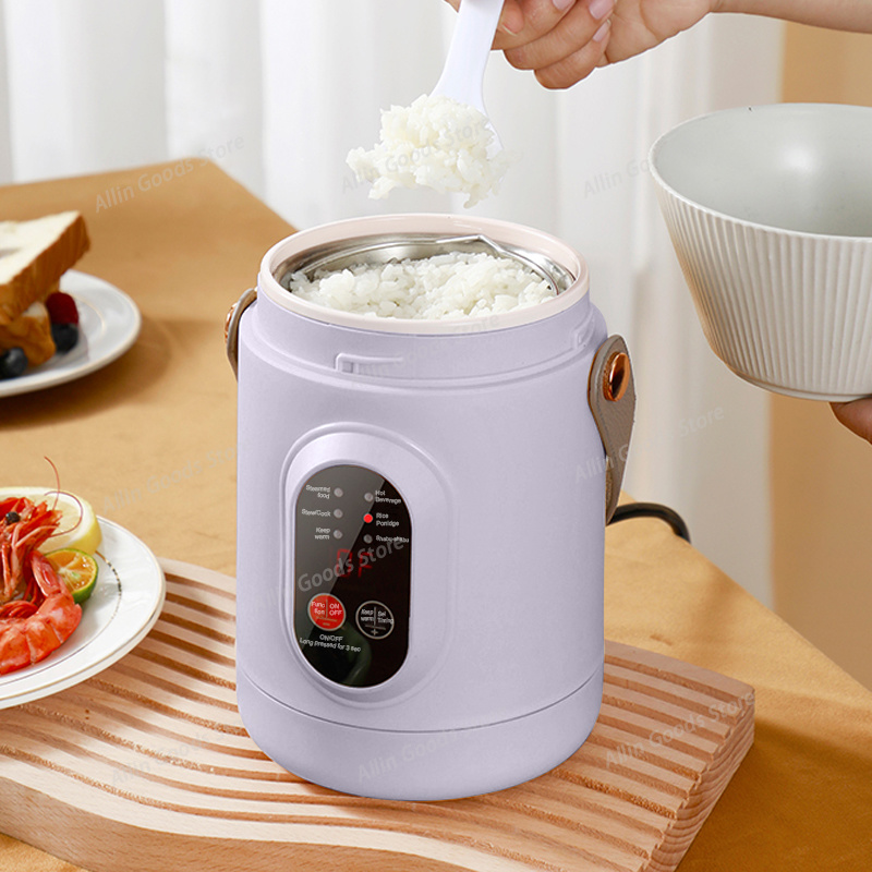 Portable Multifunctional Mini  - Hot Pot Portable Dual review and price