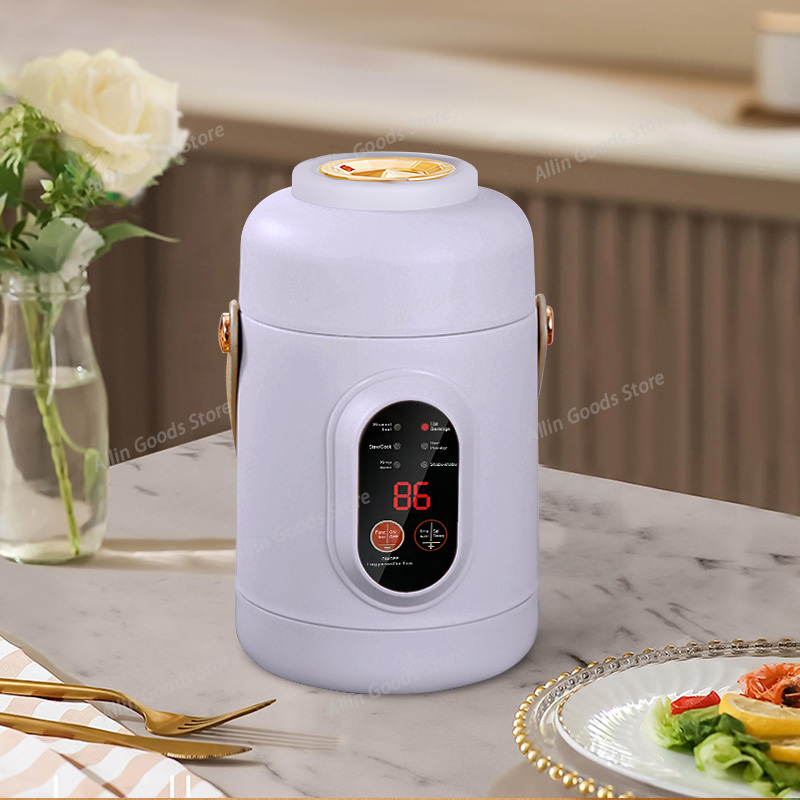 Portable Multifunctional Mini  - Hot Pot Portable Dual review and price
