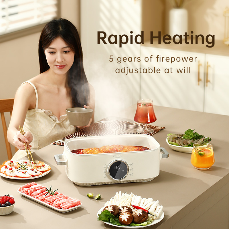 10L 3-in-1 Electric Food Steam - Home Cooking Electric review and price